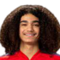 https://img.cqyzxlzx.com/img/football/player/87359ed9061cfd73513d827263deebcd.png